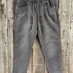 Urban Outfitters  BDG Pull-on Pants - size small Photo 0