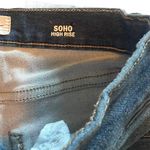 Nicole Miller  Denim Jean Shorts Photo 2