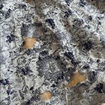 Elliatt  Doves Dress In Slate Blue Size Small Photo 4