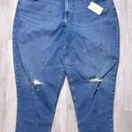 Calvin Klein  Women's Plus Size NWT Slim Boyfriend Jeans 24W Photo 0