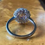 Rose de France Amethyst Natural Red Garnet Sterling Silver Cocktail Ring Size 10 Purple Photo 3