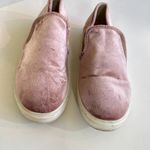 Steve Madden Evangel Rose Gold Pink Velvet Slip On Fashion Sneakers Size 8M Shoe Photo 1