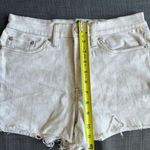 Calvin Klein  high waisted shorts Photo 2