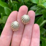 Vintage Gold Color Shell Shaped Clip Photo 2