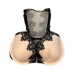Victoria's Secret Victoria’s Secret Dream Angels Lace Lined Demi Bra with Sheer Mesh Back 32DDD Photo 0
