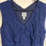 Rabbit Rabbit Rabbit Navy Blue Lace Sleeveless Dress V Photo 3