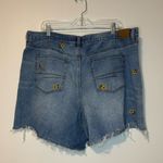 American Eagle  Mom Shorts Tiny Flower Embroidered Plus Size 20 Boho Photo 2