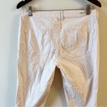 Anthropologie Pilcro and the Letterpress Blush Striped Cropped Pant Size 30 Photo 9