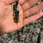 Free People Say It To Me Bodysuit Floral Lace Dolman Bell Sleeve- Size XS Photo 5