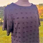 Blooming Jelly  Women’s Black PomPom Style Blouse Photo 6