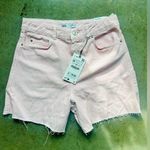 ZARA  light pink Highrise denim shorts nwt size 6 Photo 0