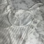 Ashley Stewart Lingerie Photo 2