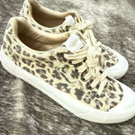 Rocket Dog  Cheery Platform Sneaker Women Sneakers Shoes Size 10 Photo 0