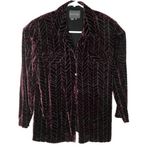 Kay Unger Women's Velvet Semi Sheer Shirt Purple Size 8 Button Front Collared Lo Photo 0