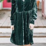 Holding Horses Anthropologie  Green Velvet Shirt Dress Photo 10