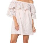 Parker  Cathy Eyelet Mini Dress Photo 2