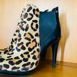 Calvin Klein Leopard Print Ankle Booties Photo 1