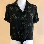 Lily White  Palm Tree Top Small Photo 0