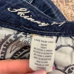 American Eagle Blue Skinny 77 Jeans Photo 5