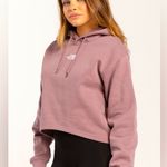 The North Face  evolution high-low hoodie sweatshirt in light plum, women’s XL Photo 0