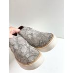 Toms Paxton Snake Womens Size 5.5 Wide Sneakers Casual Sneaker Shoes Photo 6