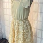Anthropologie A’Reve vintage ivory blush 3D floral textured dress size large Photo 1