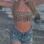 Leopard Print Tube Bikini Multi Size M Photo 1