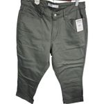Levi's Signature Levi Strauss Capri‎ Pants Olive Green Stretch Mid Rise Women's 14 W32 Photo 0
