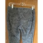 Anthropologie Gray Damask Velvet "Flocked Charlie Trousers" Cartonnier Photo 8