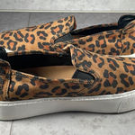 BCBGeneration  women’s leopard print slip on platform sole excellent‎ condition 9 Photo 0