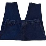 Laura Scott Pull-On Elastic Waistband Stretch Skinny Jeans Size 2X Photo 0