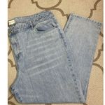 Eloquii  Denim light blue wash straight leg jeans, size 20 Photo 0