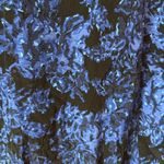 Madewell  Director Silk Shift Dress Mini Floral Blue Black Large Photo 2