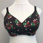 Torrid Curve Lightly Lined Strawberry Bra - Size 40DDD Photo 2