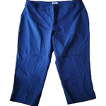 Eliane Rose  Blue Capris (18W) Photo 0