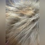 Urban Outfitters | Cheeky’s, ladies knit pom pom beanie/hat. Brown Photo 5