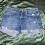 BKE  Shorts Photo 0