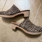 Madewell cowhide clogs Photo 1