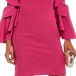 Badgley Mischka  Belle Pink Ruffle Bell Sleeves V-Neck Cocktail Dress Size 2 Photo 0