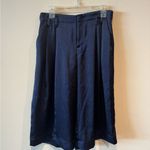 Gap  cropped shiny navy pants size 10 Petite Photo 1