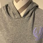 Aeropostale  Sport New! Heather Gray Hoodie with Lavender Logo size L Photo 1