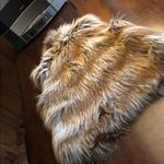 Jack by BB Dakota  Orange and Black Label Photo 6