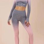 Gymshark light pink/grey ombre seamless Photo 0