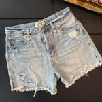 Free People Shorts Photo 0