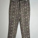 ZARA Sz 6 Adorable Animal Snakeskin Print Pants Photo 0