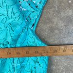 Adelyn Rae  Seagram Lace Dress with underlay 
Size: XS Photo 3