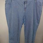 Style & Co Capri Striped Jeans Photo 0