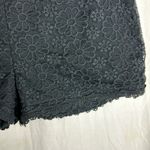 Alice Moon High Waisted Black Lace Shorts Size Large Photo 1