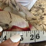 Mlle Gabrielle Mlle Gabrella size 22W short sleeve dress Photo 4