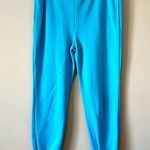 None Teal Fleece Lined Jogger Sweatpants Sz L Photo 0